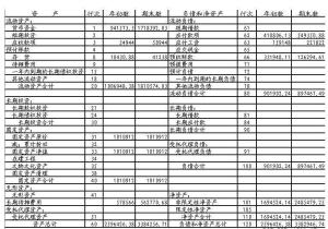 非營(yíng)利會(huì )計科目匯總表