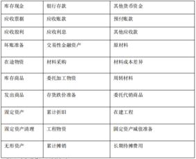 明細表,科目,會(huì )計科目,解釋