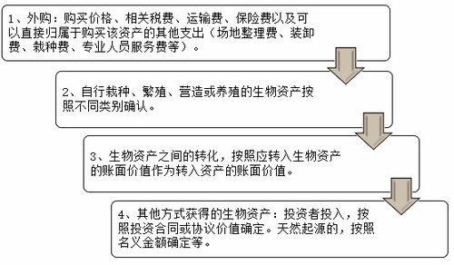 農(nóng)業(yè)生產(chǎn)企業(yè)會計科目,柴油計入哪個會計科目,柴油屬于什么會計科目