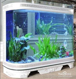 清洗空調會(huì )計科目,辦公室魚(yú)缸會(huì )計科目,單位買(mǎi)的魚(yú)缸入什么會(huì )計科目