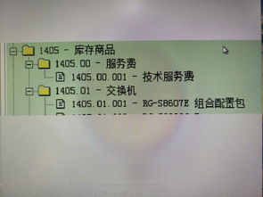 明細,會(huì )計科目
