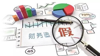 財務(wù)造假會(huì )計科目
