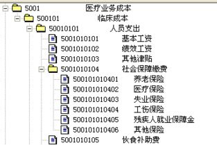 明細,科目,會(huì )計科目