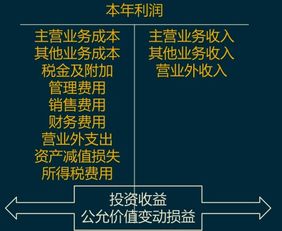 會(huì )計科目屬于損益類(lèi)科目的有