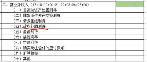 政府補貼會(huì )計科目營(yíng)業(yè)外收入還是其他收益