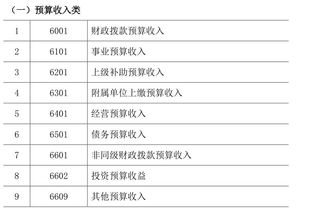 簡(jiǎn)述政府單位會(huì )計科目的概況并歸納其特點(diǎn)