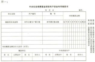 社會(huì )保險基金財政專(zhuān)戶(hù)會(huì )計科目