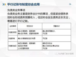 政府會(huì )計明細科目設置,政府會(huì )計科目設置的原則,政府會(huì )計科目設置要實(shí)現什么功能
