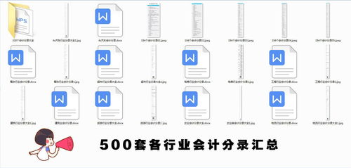 消費稅,涉及,會(huì )計科目