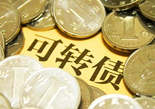 會(huì )計科目,公司