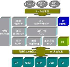 ca認證會(huì )計科目