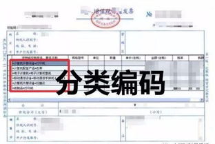 收購蔬菜收到發(fā)票會(huì)計(jì)科目