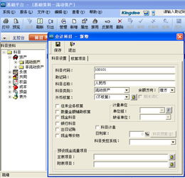 民辦學(xué)校,金蝶,會(huì )計科目