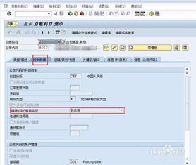 會(huì )計科目,查看,sap