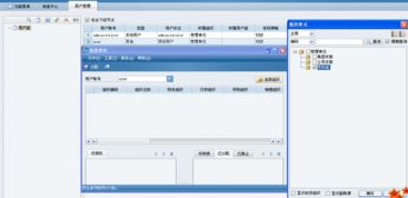 金蝶,新增,會(huì )計科目,eas