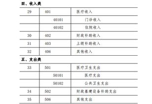 基層醫療機構會(huì )計科目,最新基層會(huì )計科目,基層醫療衛生機構會(huì )計科目