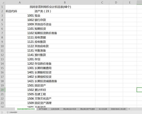 編碼,民間,會計科目,組織