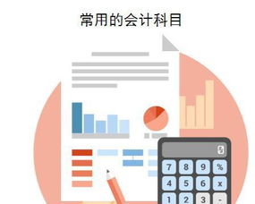 醫(yī)院會計都用什么會計科目,民營非營利性醫(yī)院會計科目,私立醫(yī)院會計科目