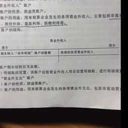 借方,負數,營(yíng)業(yè),成本