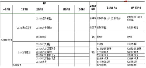 會(huì )計科目,公司