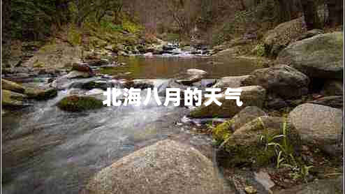 北海八月的天氣