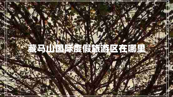 藏馬山國際度假旅游區在哪里