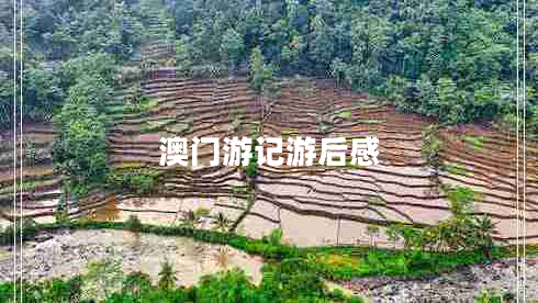 澳門(mén)游記游后感