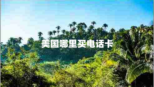 美國哪里買(mǎi)電話(huà)卡