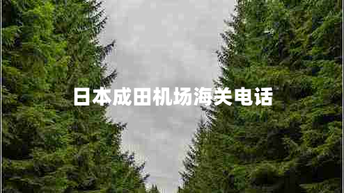 日本成田機(jī)場(chǎng)海關(guān)電話