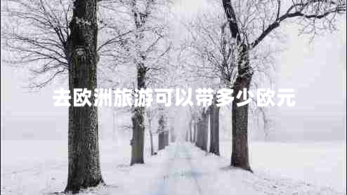 去歐洲旅游可以帶多少歐元
