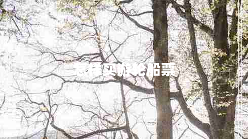 怎樣買(mǎi)游輪船票