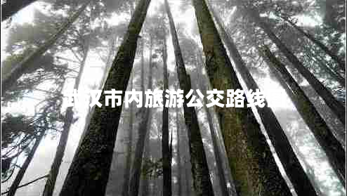 武漢市內旅游公交路線(xiàn)圖