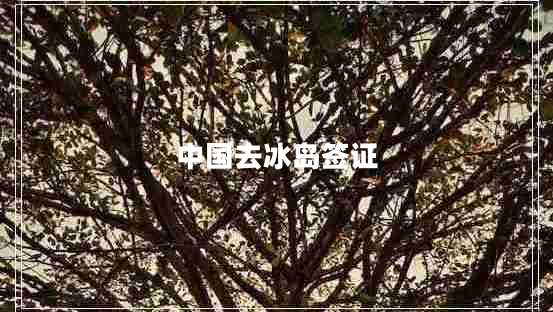 中國去冰島簽證
