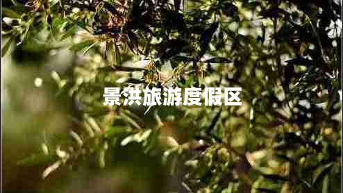 景洪旅游度假區