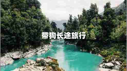 帶狗長(cháng)途旅行