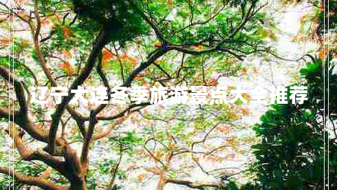 遼寧大連冬季旅游景點(diǎn)大全推薦
