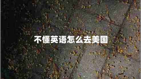 不懂英語(yǔ)怎么去美國