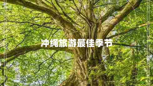 沖繩旅游最佳季節