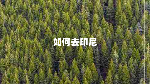 如何去印尼