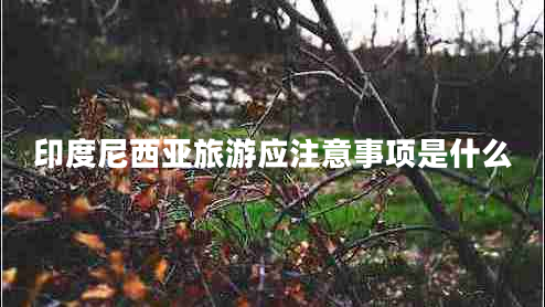 印度尼西亞旅游應注意事項是什么