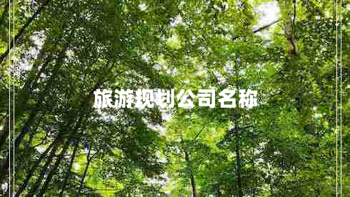 旅游規劃公司名稱(chēng)