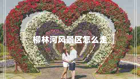 柳林河風(fēng)景區怎么走