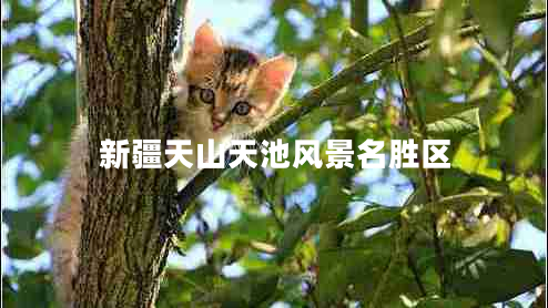 新疆天山天池風(fēng)景名勝區