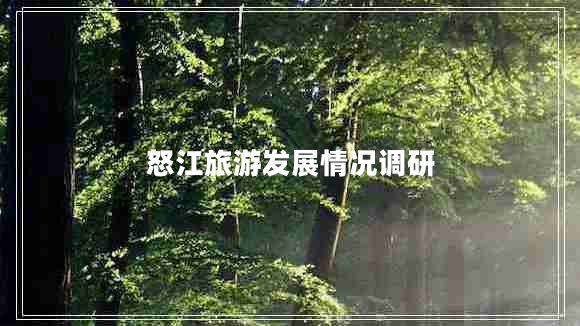怒江旅游發(fā)展情況調研