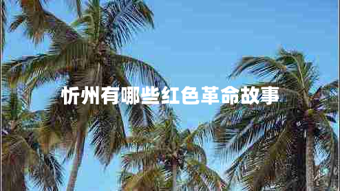 忻州有哪些紅色革命故事