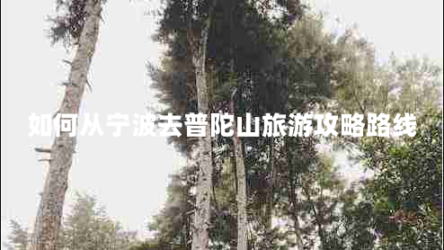 如何從寧波去普陀山旅游攻略路線(xiàn)