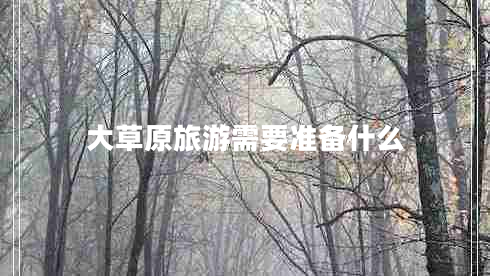 大草原旅游需要準備什么
