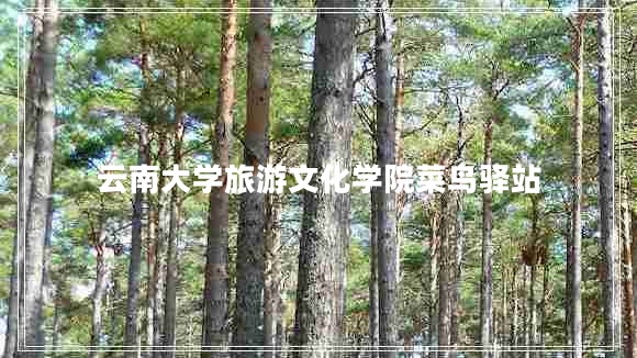 云南大學(xué)旅游文化學(xué)院菜鳥(niǎo)驛站