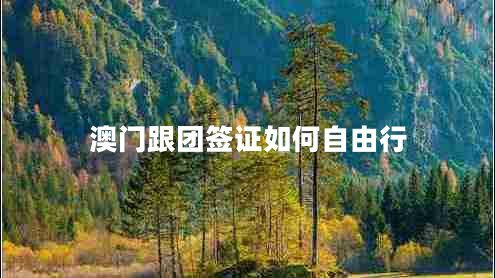 澳門(mén)跟團簽證如何自由行