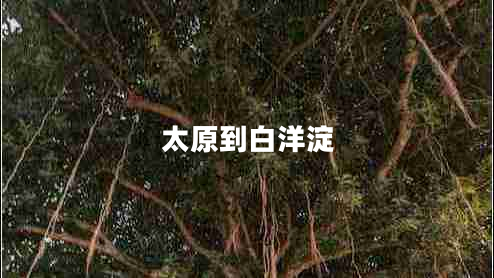 太原到白洋淀